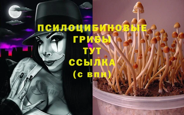 мескалин Зеленодольск